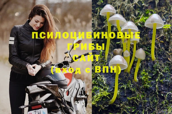 ПСИЛОЦИБИНОВЫЕ ГРИБЫ Сосновый Бор