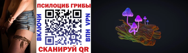 Галлюциногенные грибы Psilocybe  Горняк 